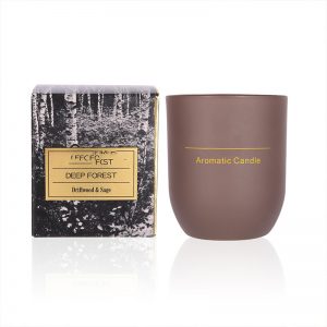Scented Tealight Candles Bulk Gingerbread Liquid Candle Scent